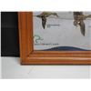 Image 2 : Ducks Unlimited Pictorial Duck Guide, Framed