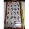 Image 4 : Ducks Unlimited Pictorial Duck Guide, Framed