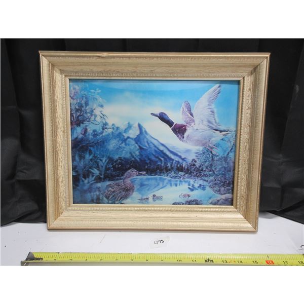 3D Effect Picture of Mallard Ducks on a Mountain