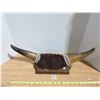 Image 1 : Cow Horn Wall Décor