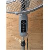 Image 3 : vintage lamp and pedestal fan