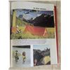 Image 3 : Popular Mechanics Do it Yourself Encyclopedia (1978) vol.1&2