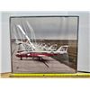 Image 1 : Framed Photograph of the Canadian Snowbird Fleet