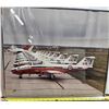 Image 2 : Framed Photograph of the Canadian Snowbird Fleet
