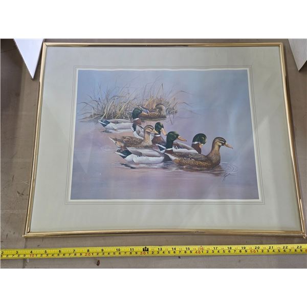 Print picture of ducks- 20' by 16"