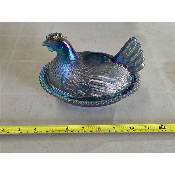 Rainbow iridescent hen on a nest-
