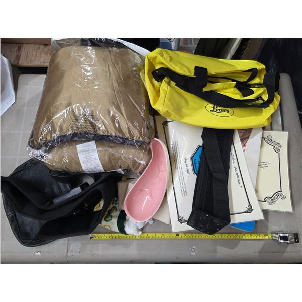 Lot of misc items- bags and pillows