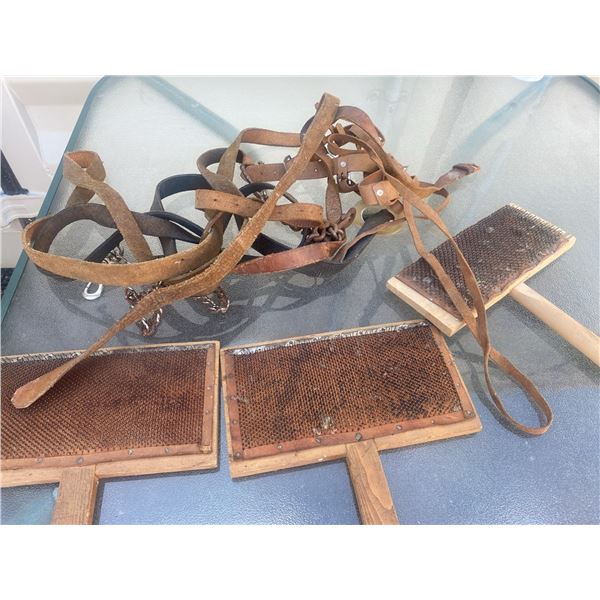 Leather Dog Leash and Set of Three Wool Carding Brushes