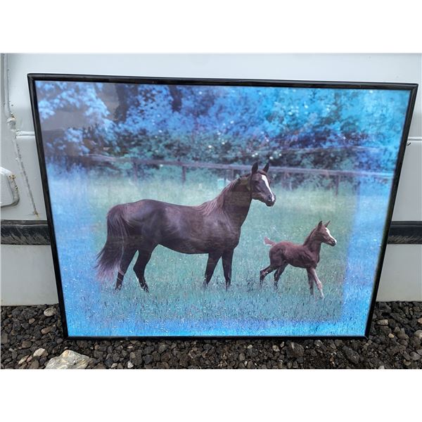 Framed Horse and Foal Print 16x20 Mylar Assorted