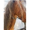 Image 11 : Handmade Wooden Rocking Horse with Mane and Tail