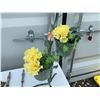 Image 9 : Decorative Home and Hearth Items