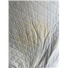 Image 3 : Queen Size Mattress and Box Spring Set with Stains