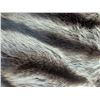 Image 8 : Exquisite White-Tailed Raccoon Fur Jacket by Aem Hurtig Ltd. (Sz M-L)