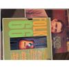 Image 7 : Folk and Country Vinyl Record Album Lot (10 LPs)