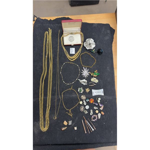 Fashion Jewelry: Pins, Brooches, Necklaces and More