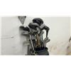 Image 10 : Spalding Golf Bag w/ Mizuno Silver Cup Irons (P, S, 6, 8, 5, 9), TaylorMade, & More