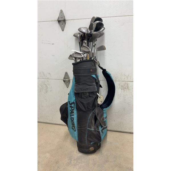 Spalding Golf Bag w/ Mizuno Silver Cup Irons (P, S, 6, 8, 5, 9), TaylorMade, & More