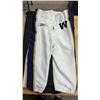 Image 1 : Winnipeg Blue Bombers Game Worn Pants