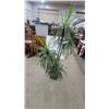 Image 1 : Artificial Dracaena Potted Plant in Square Green Geometric Relief Planter 6' Tall