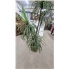Image 3 : Artificial Dracaena Potted Plant in Square Green Geometric Relief Planter 6' Tall