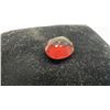 Image 5 : Three True Gemstones: 3.73ct Oval Natural Orangish Pink Pyrope Garnet, 3.05 ct Octagon Natural