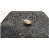 Image 13 : Three True Gemstones: 2.18ct VS Round Natural Medium Reddish Orange Garnet, 3.59 ct VS Oval