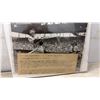 Image 2 : Nine 1930s Wide World Wire Photographs, Baseball with Dizzy Dean, World Series with Chicago & New
