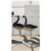 Image 2 : Vintage Wooden Silhouette Goose Field Decoys with Ground Stakes, Set of 6