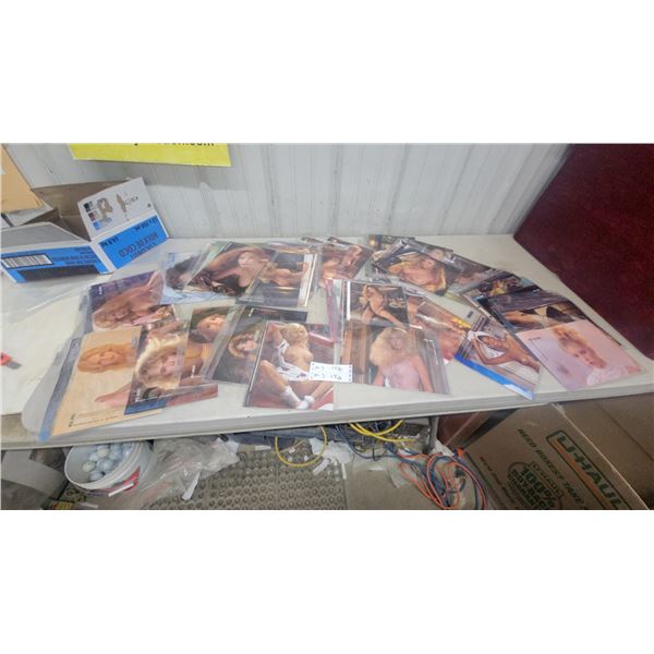 Collection of Adult Playboy Centerfolds Cards in Protective Sleeves, Various Playmates