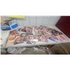 Image 1 : Collection of Adult Playboy Centerfolds Cards in Protective Sleeves, Various Playmates