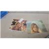 Image 5 : Collection of Adult Playboy Centerfolds Cards in Protective Sleeves, Various Playmates