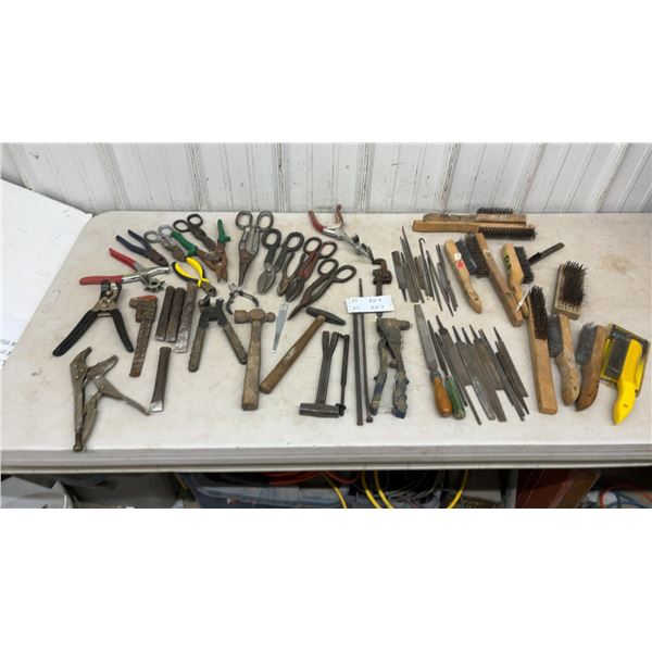 Assorted Hand Tools: Files, Wire Brushes, Pliers, Snips, Hammers, & More