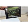 Image 7 : WW1 Original Action Glass Slides, Vimy Ridge Belgium & France, Lt. Col. A.M. Naismith, 20 Slides