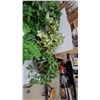 Image 2 : Assorted Artificial Plants Including Faux Ferns, Fittonia, and Variegated Pothos-Style Foliage