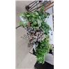 Image 7 : Assorted Artificial Plants Including Faux Ferns, Fittonia, and Variegated Pothos-Style Foliage
