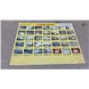 Image 9 : 18 Vintage Canadian Educational Posters, Wildlife, Acid Rain, Healthy Food Choices and More, 1980s