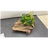Image 2 : Vintage Mid Century Modern Lucite Grapes on Driftwood Sculptures. Set of 2
