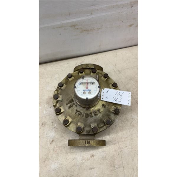 Neptune Trident Water Meter, 1-1/2" Flanged, Gallons