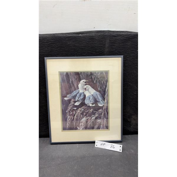 Robert Bateman "Kittiwakes" Print, 1979, Framed, 14 × 12”