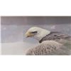 Image 5 : Robert Bateman 1980 Bald Eagle Print in Frame, 14 × 15”