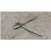 Image 3 : Vintage Castrating Tools