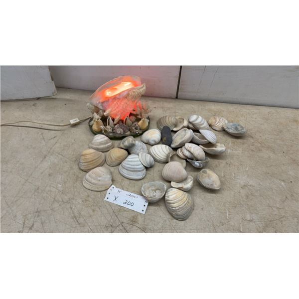 Seashell Table Lamp and Assorted Seashells