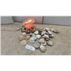 Image 1 : Seashell Table Lamp and Assorted Seashells