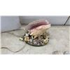 Image 5 : Seashell Table Lamp and Assorted Seashells