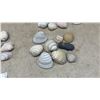 Image 7 : Seashell Table Lamp and Assorted Seashells