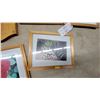 Image 5 : Framed Floral and Garden Photographs and Wooden Wall Plaques With Painted Floral Designs