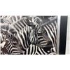 Image 3 : Framed Black and White Zebra Print Wall Art, 32 × 32”