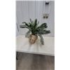 Image 1 : Faux Sago Palm in Classical-Style Head Planter