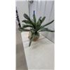 Image 4 : Faux Sago Palm in Classical-Style Head Planter