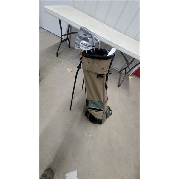 Powerbilt Precision II 6-Iron Golf Set with Tan and Green Stand Bag